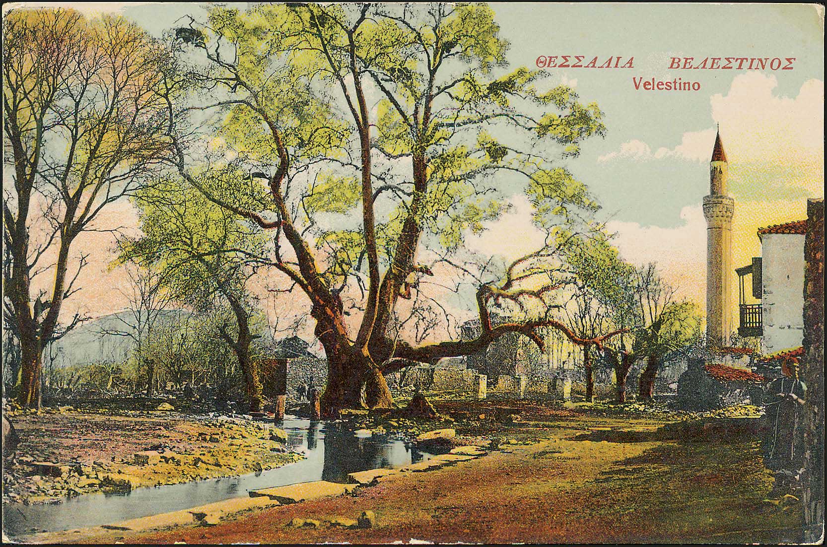 Lot 01519