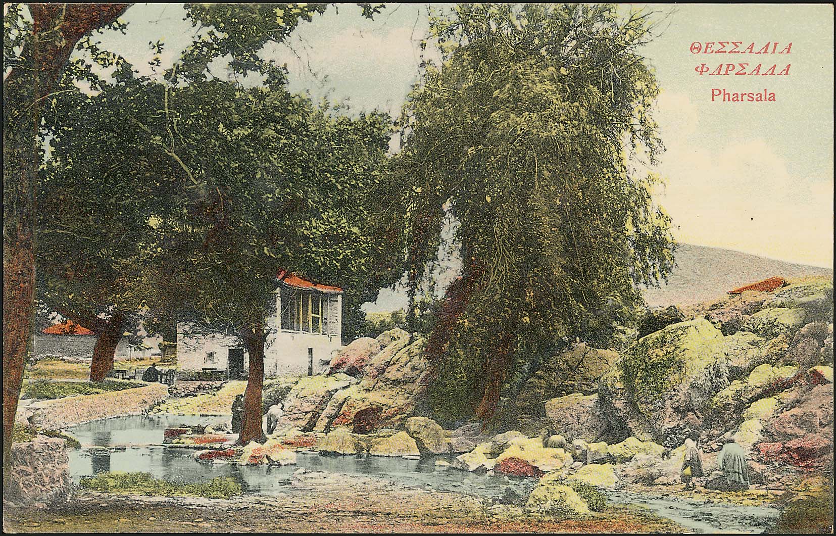 Lot 01484