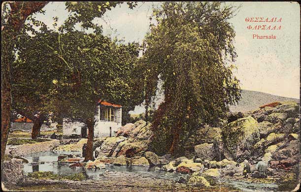 Lot 01687