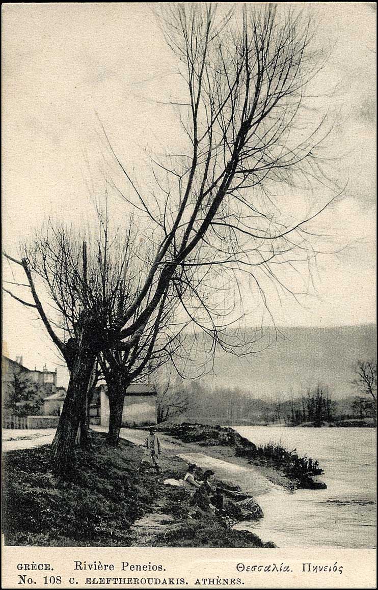 Lot 01694