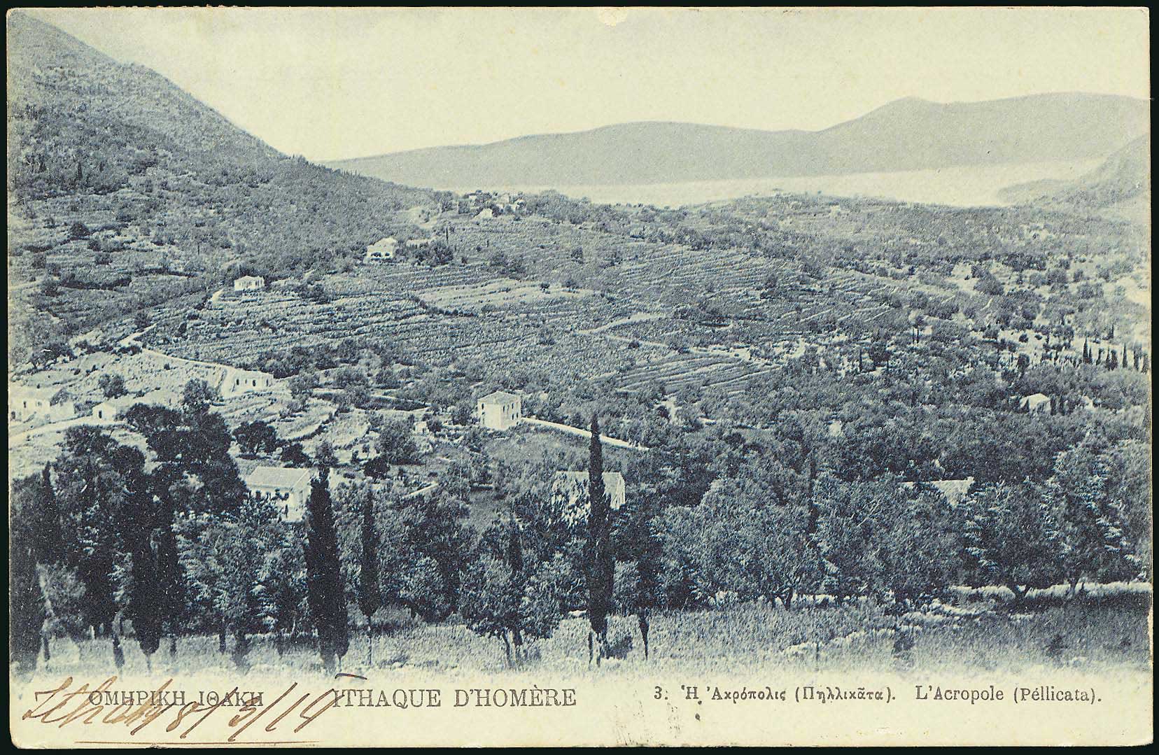 Lot 01567