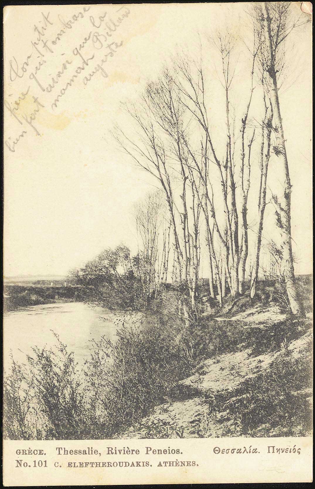 Lot 01536