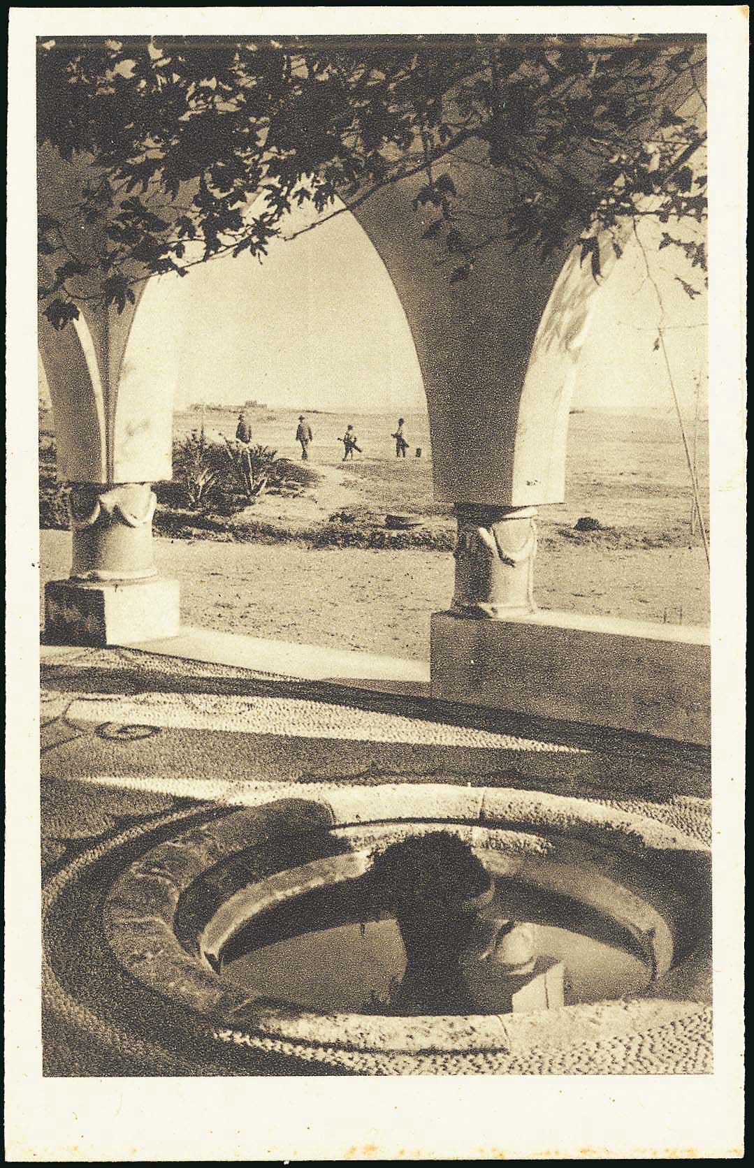 Lot 01294