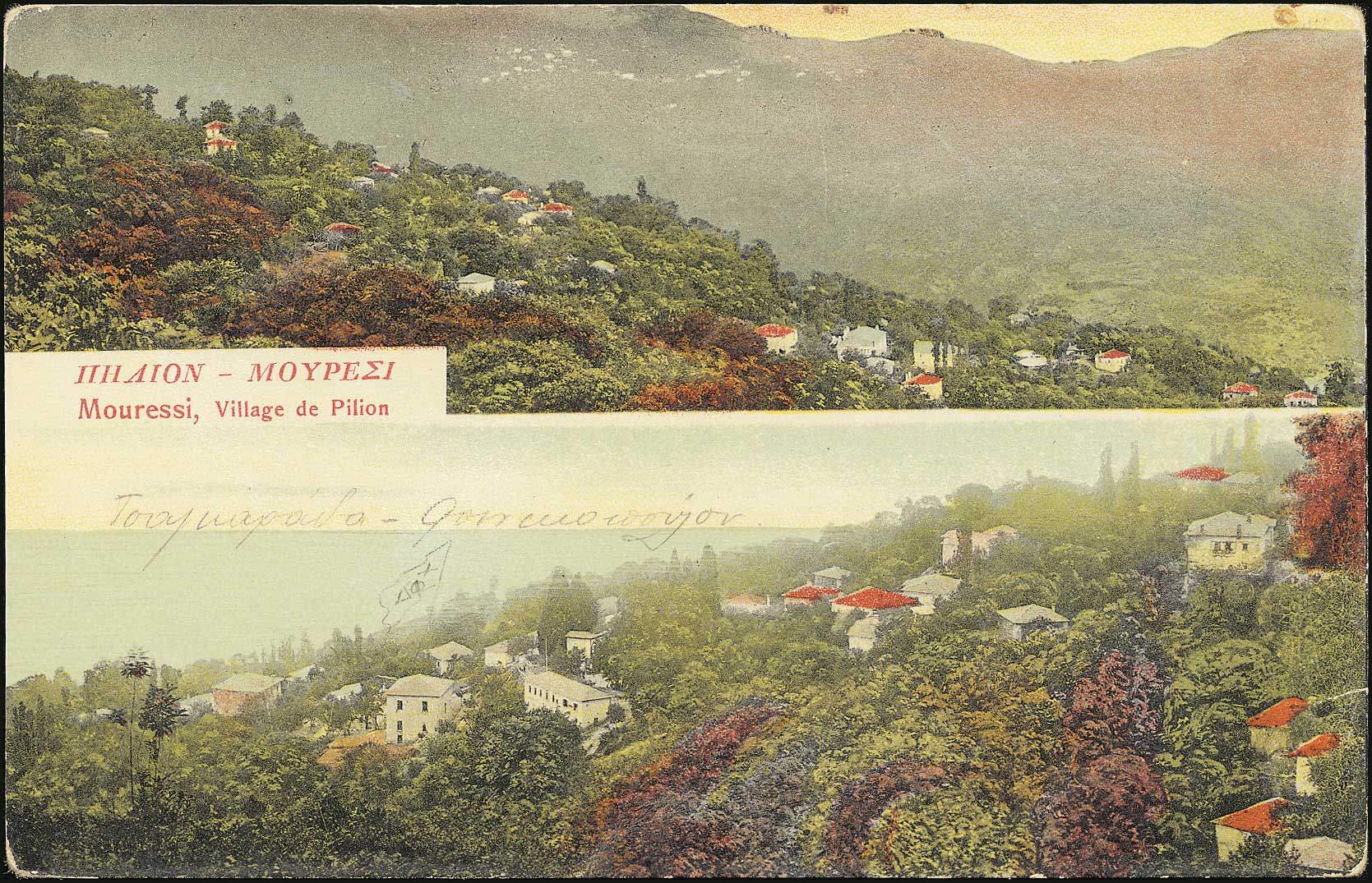 Lot 01429