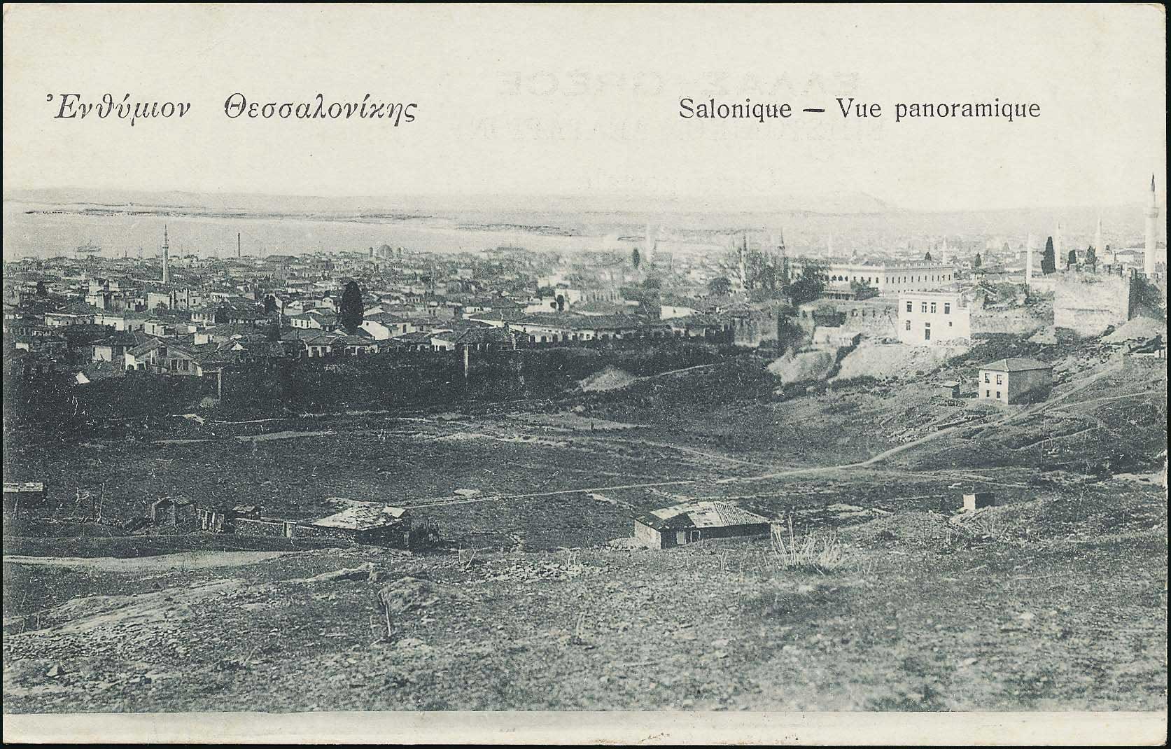 Lot 01558