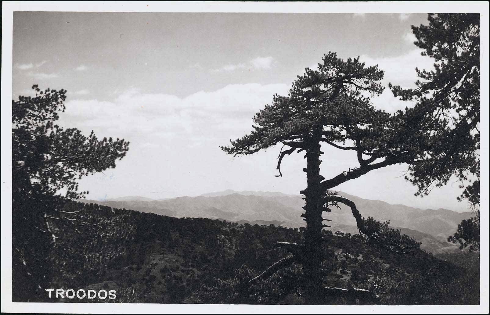 Lot 01810