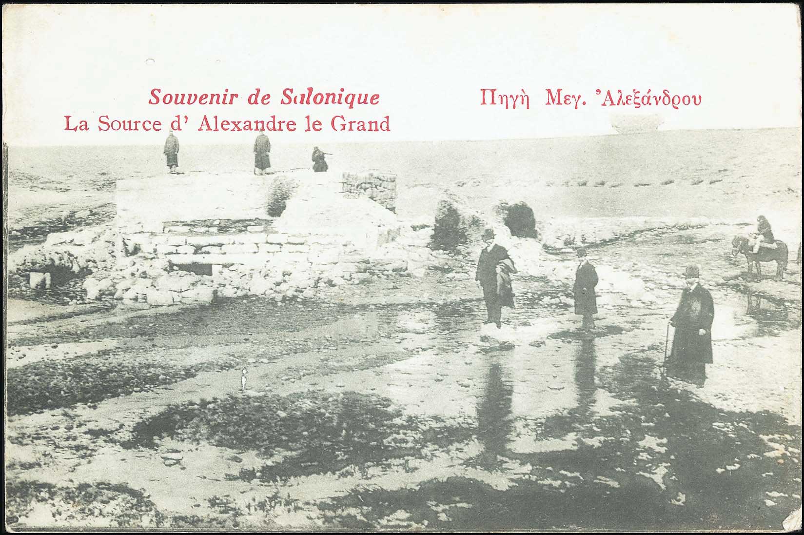 Lot 01954