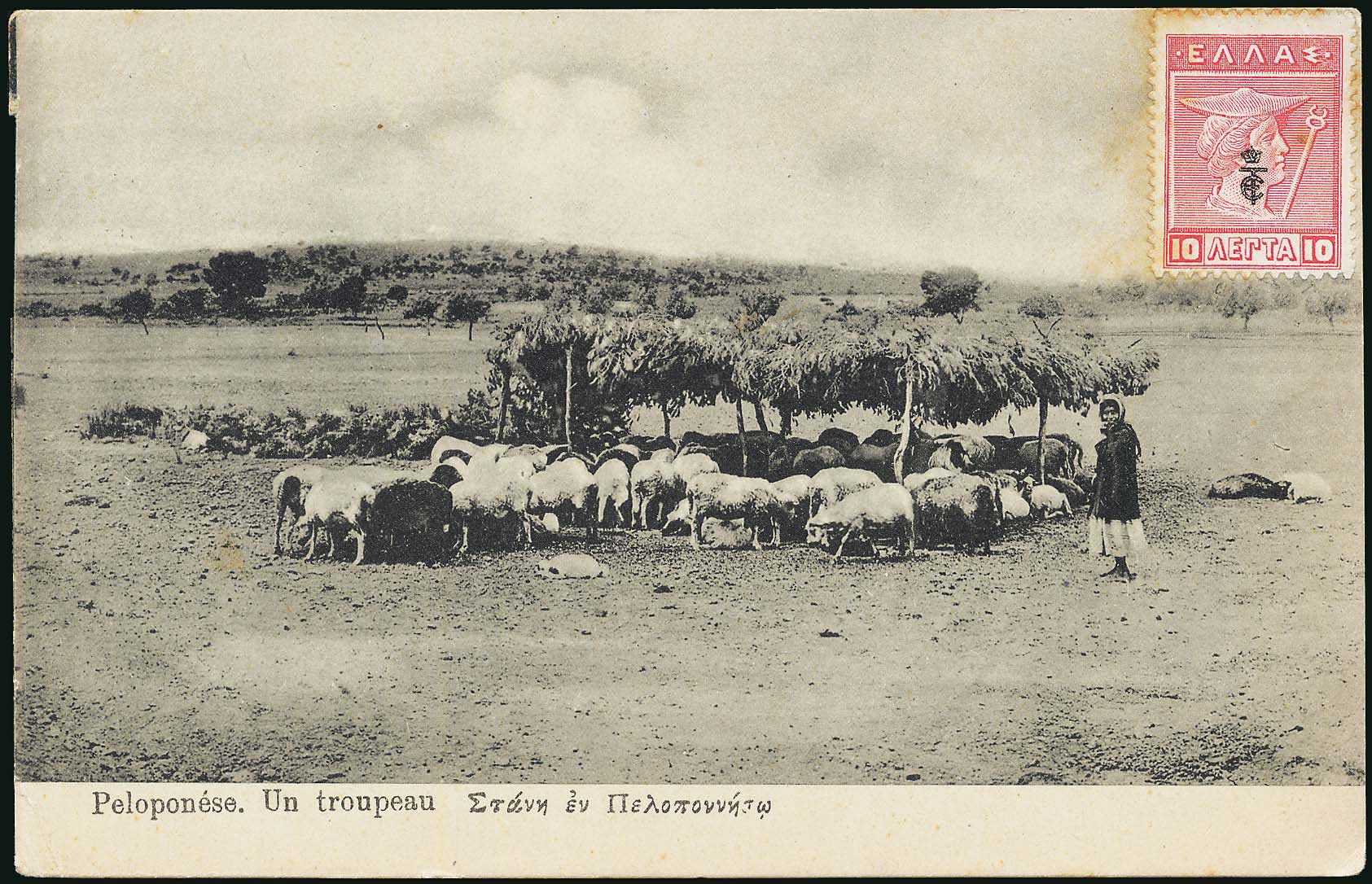 Lot 01426