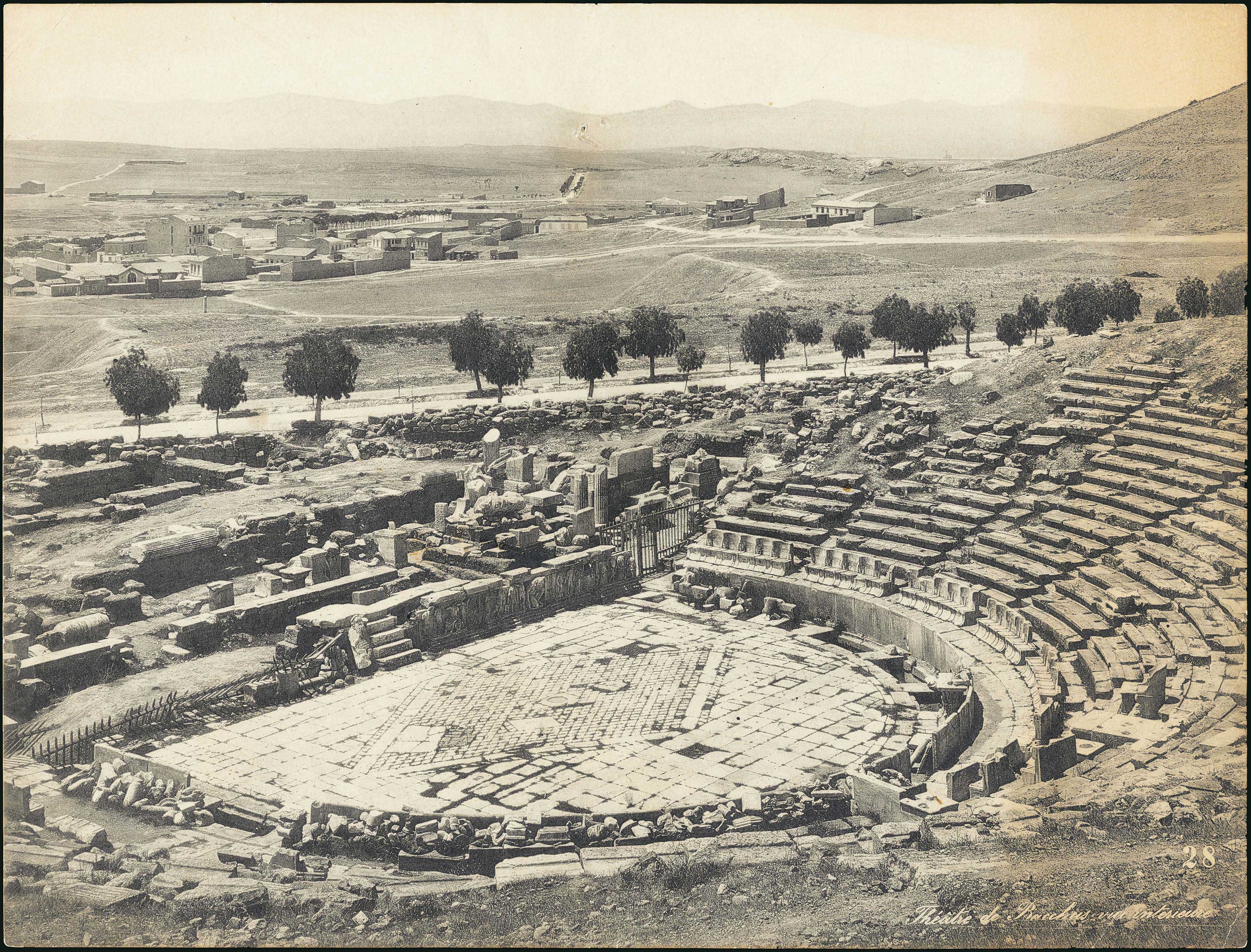 Lot 05339
