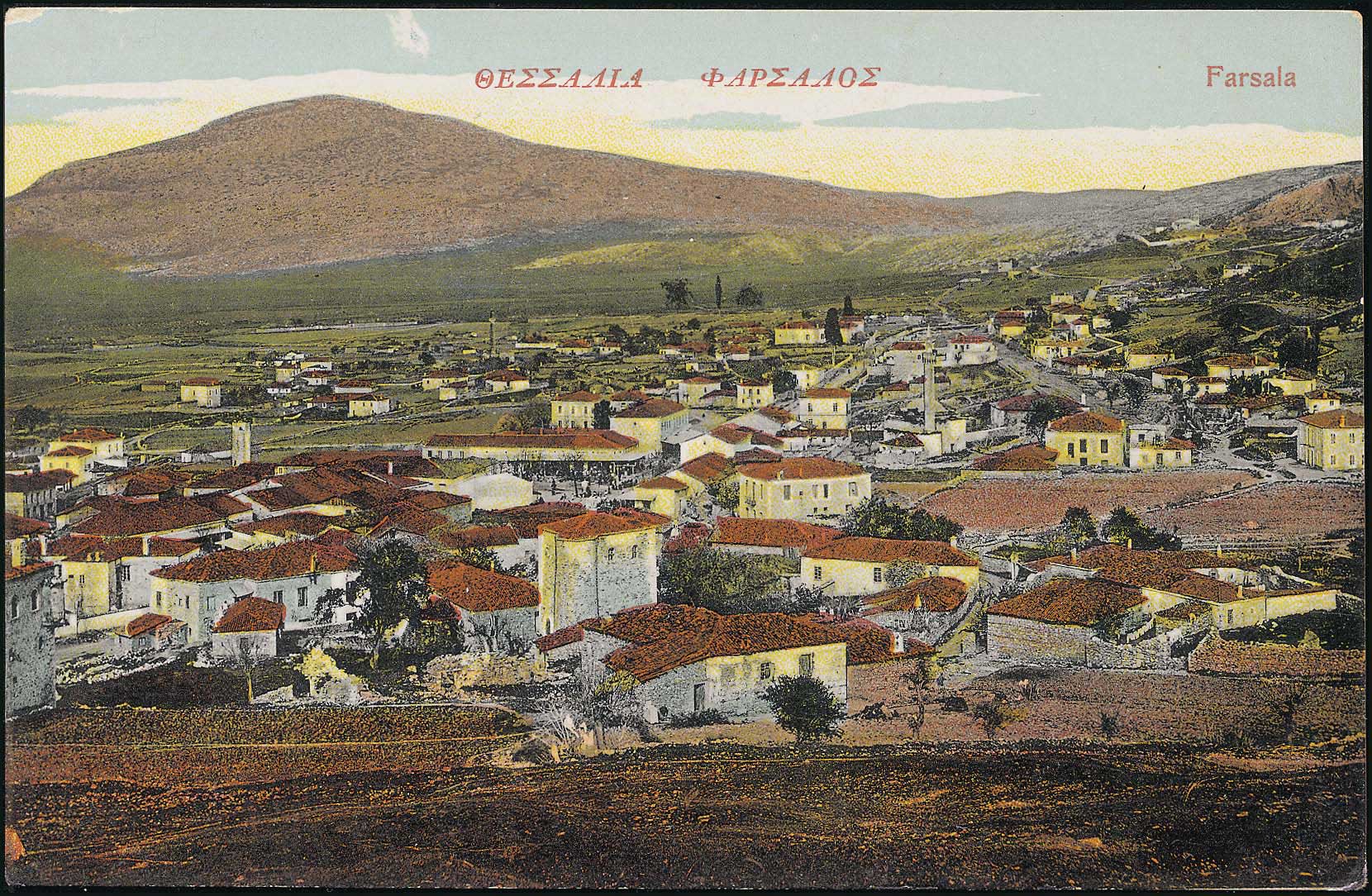 Lot 01434