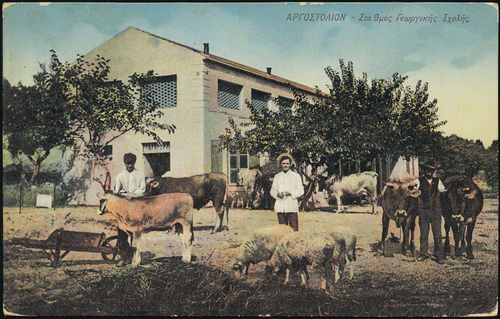 Lot 01768