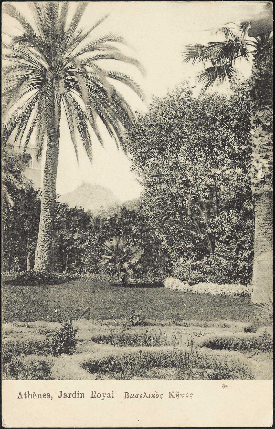 Lot 02156