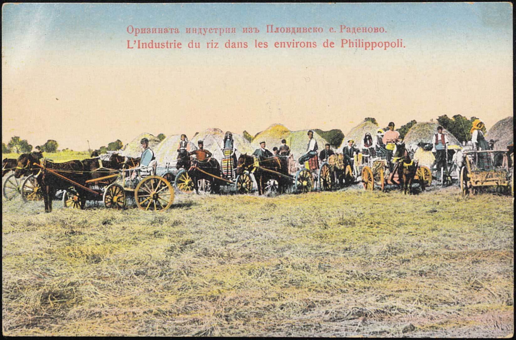 Lot 01921