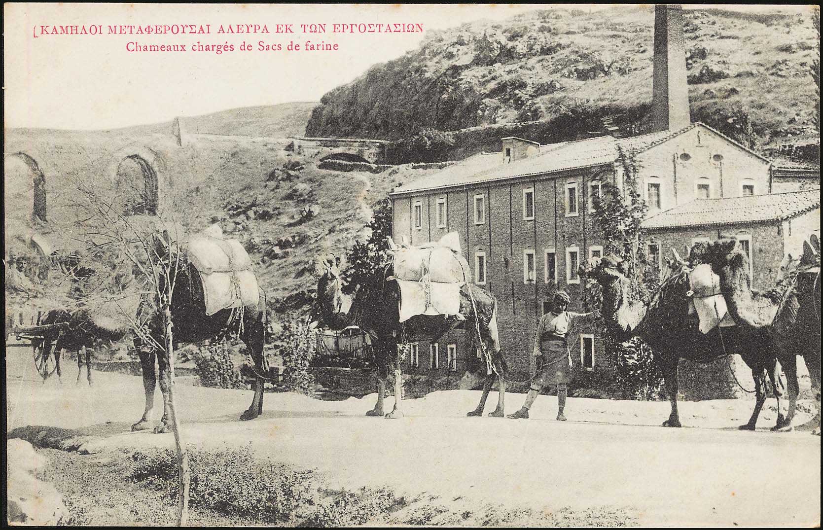 Lot 01879
