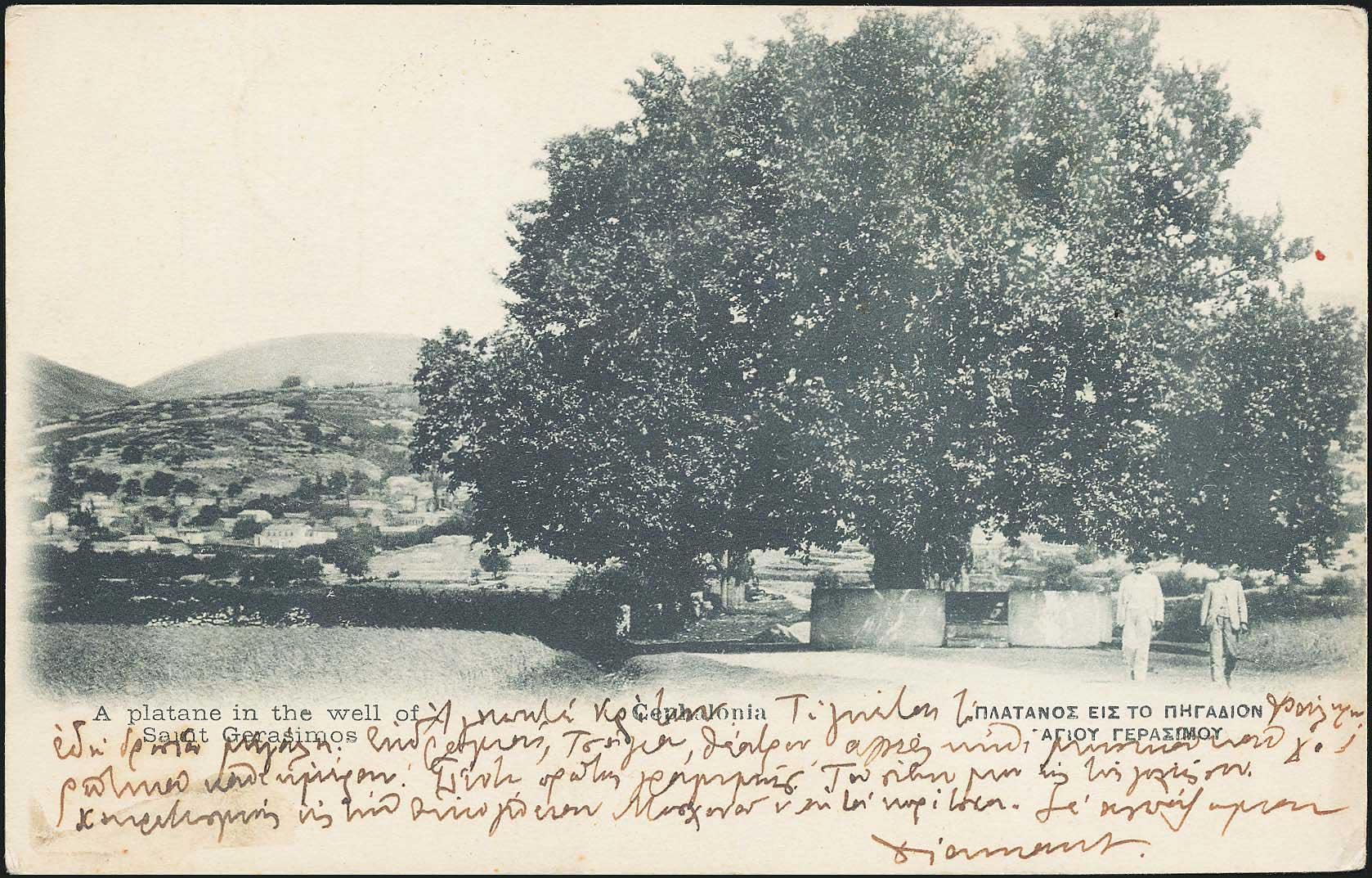 Lot 01599