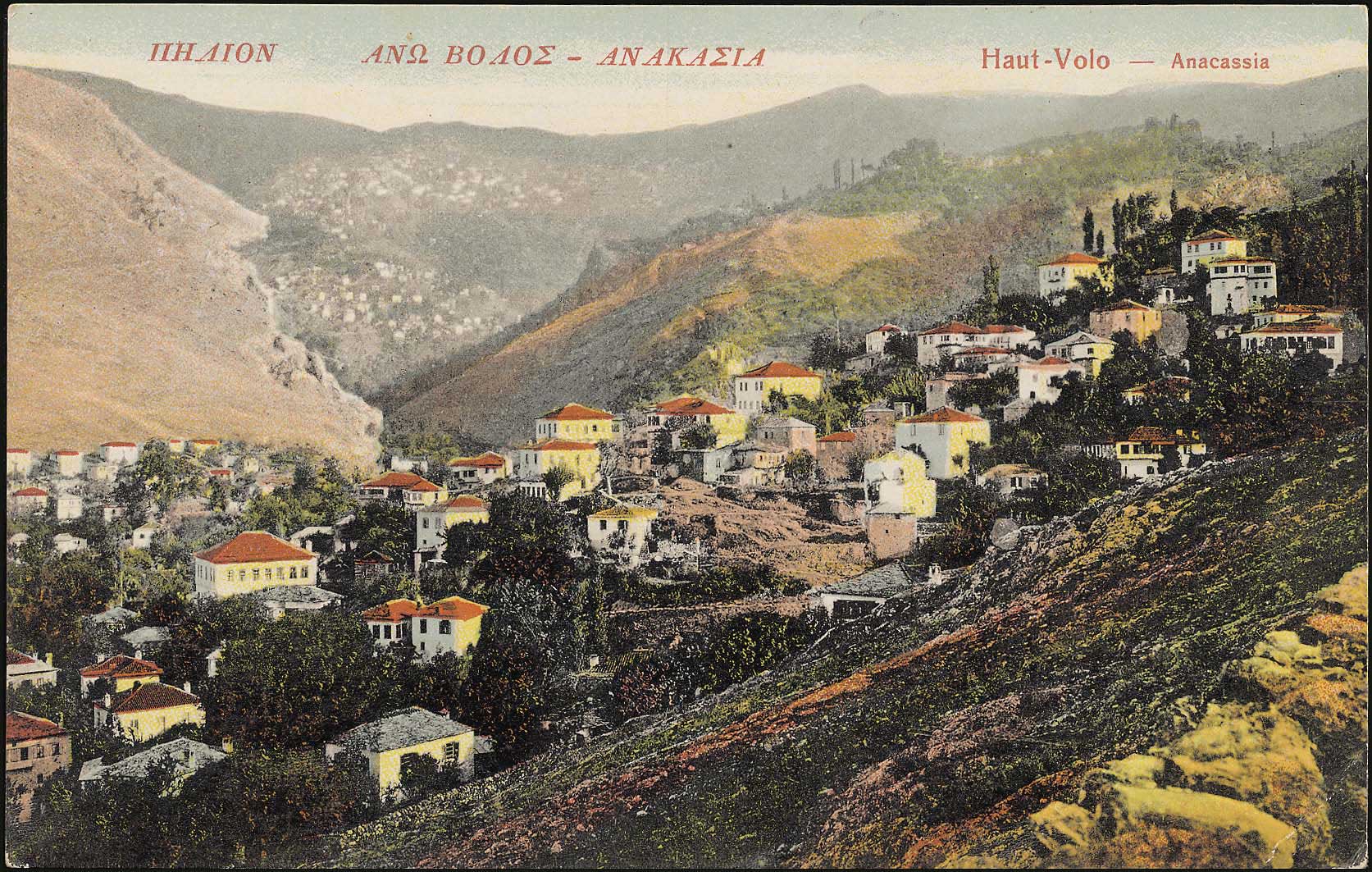 Lot 01539