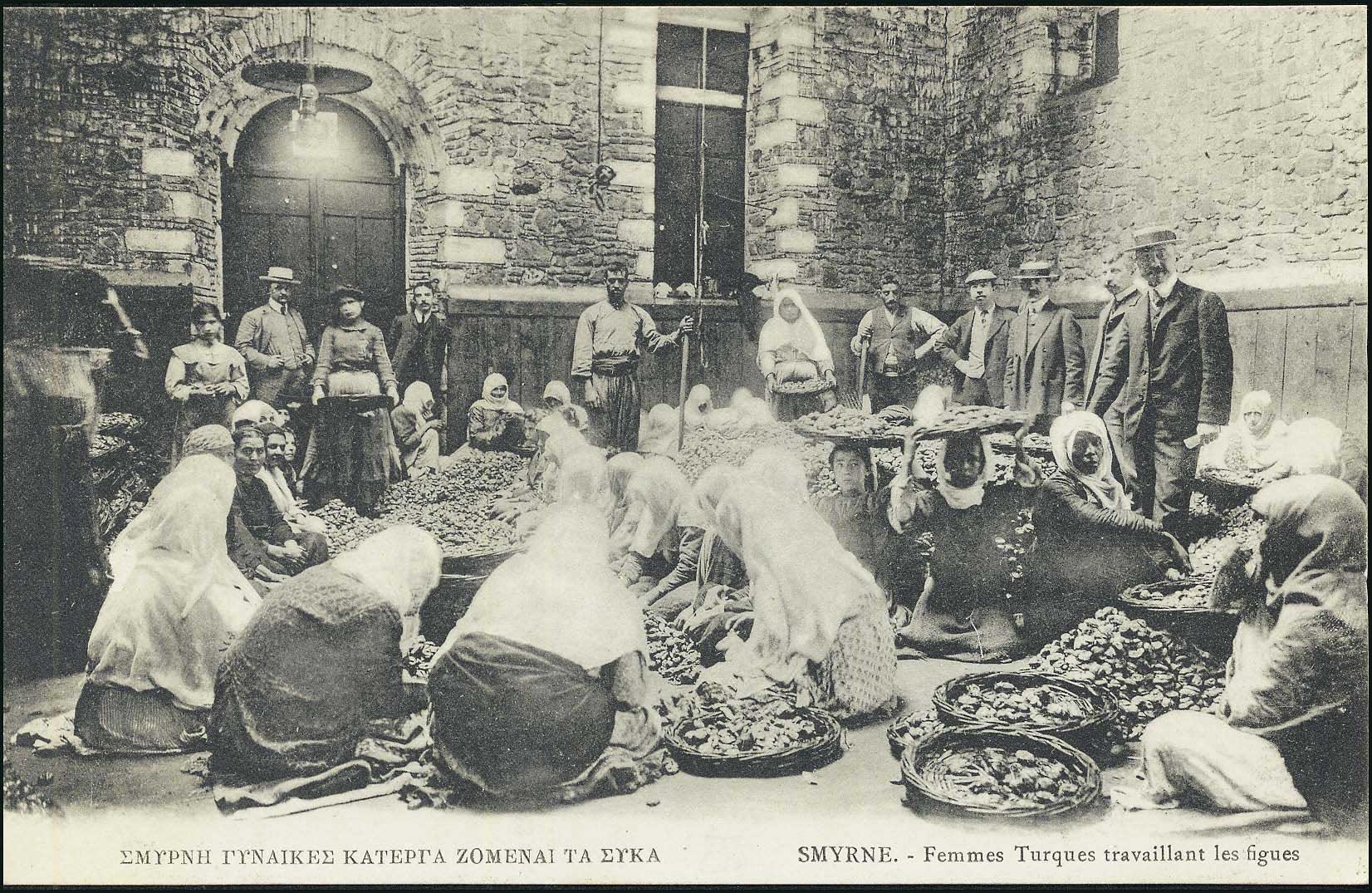 Lot 02133