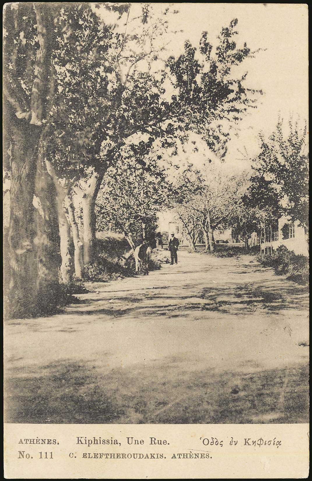 Lot 01503