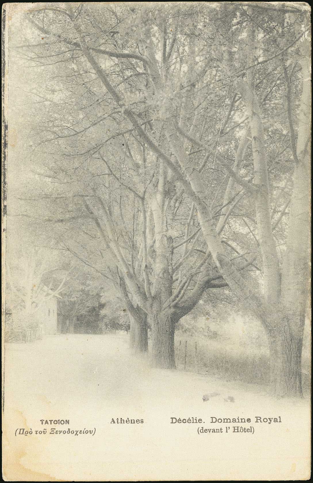 Lot 01846