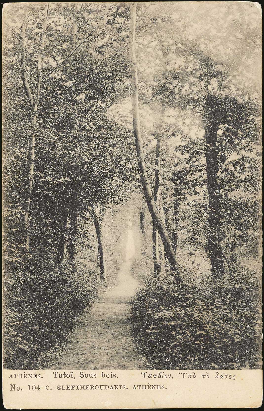 Lot 01906