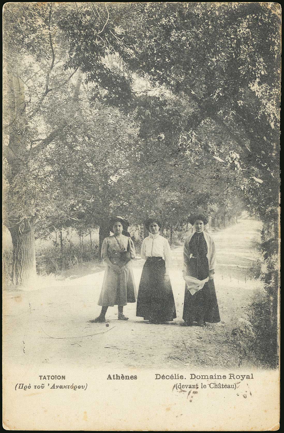 Lot 01847