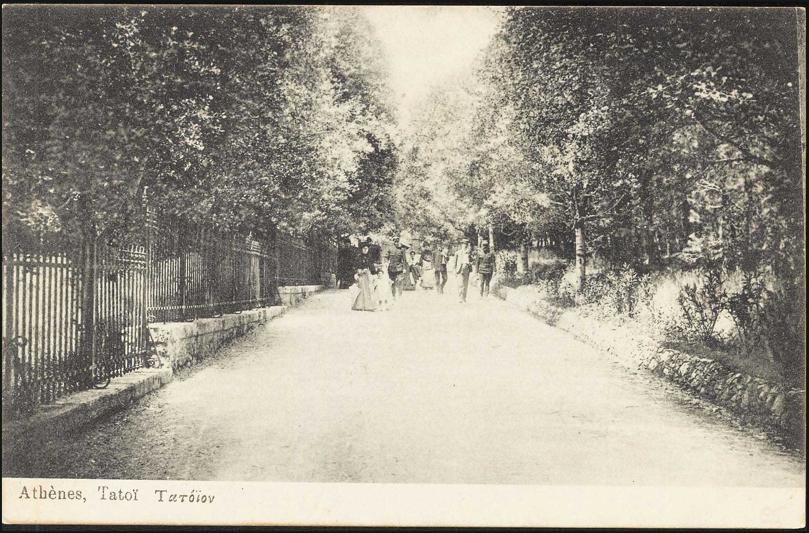 Lot 01498