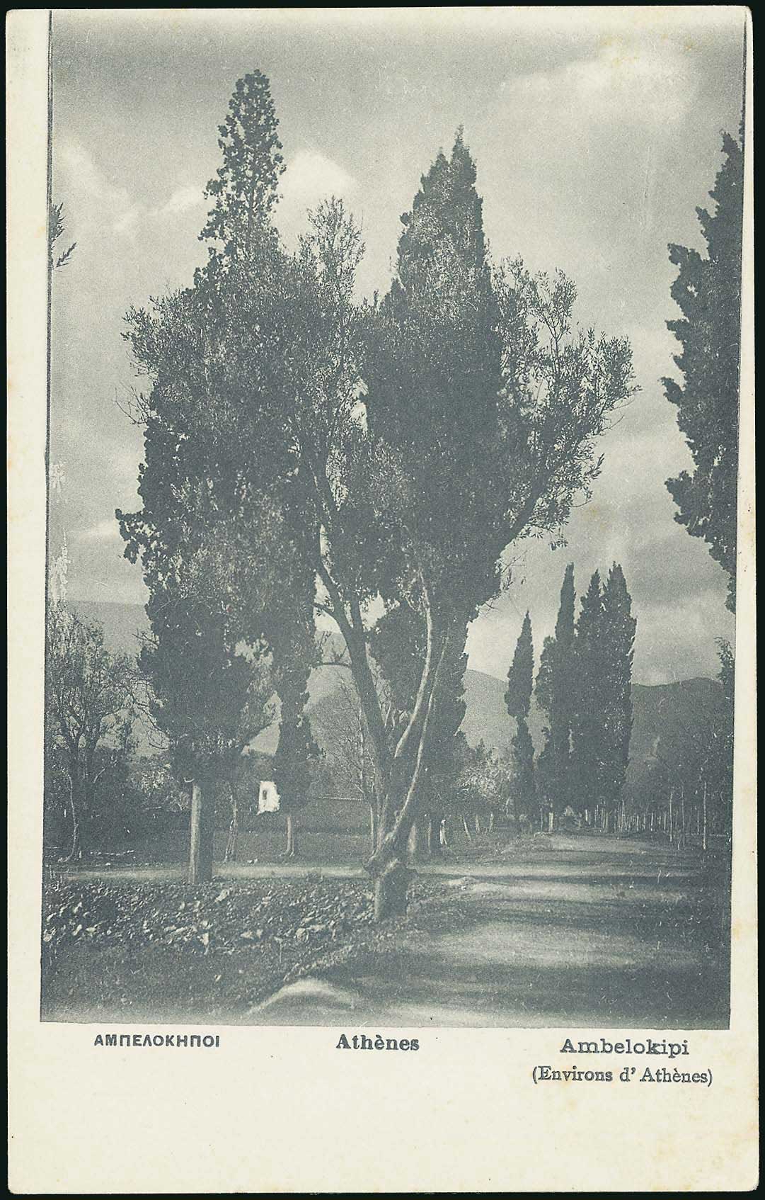 Lot 01566