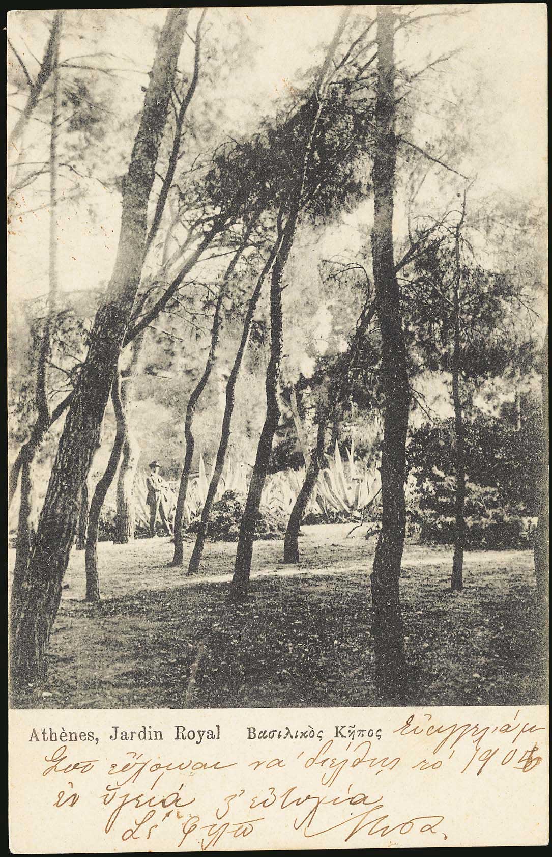 Lot 01505