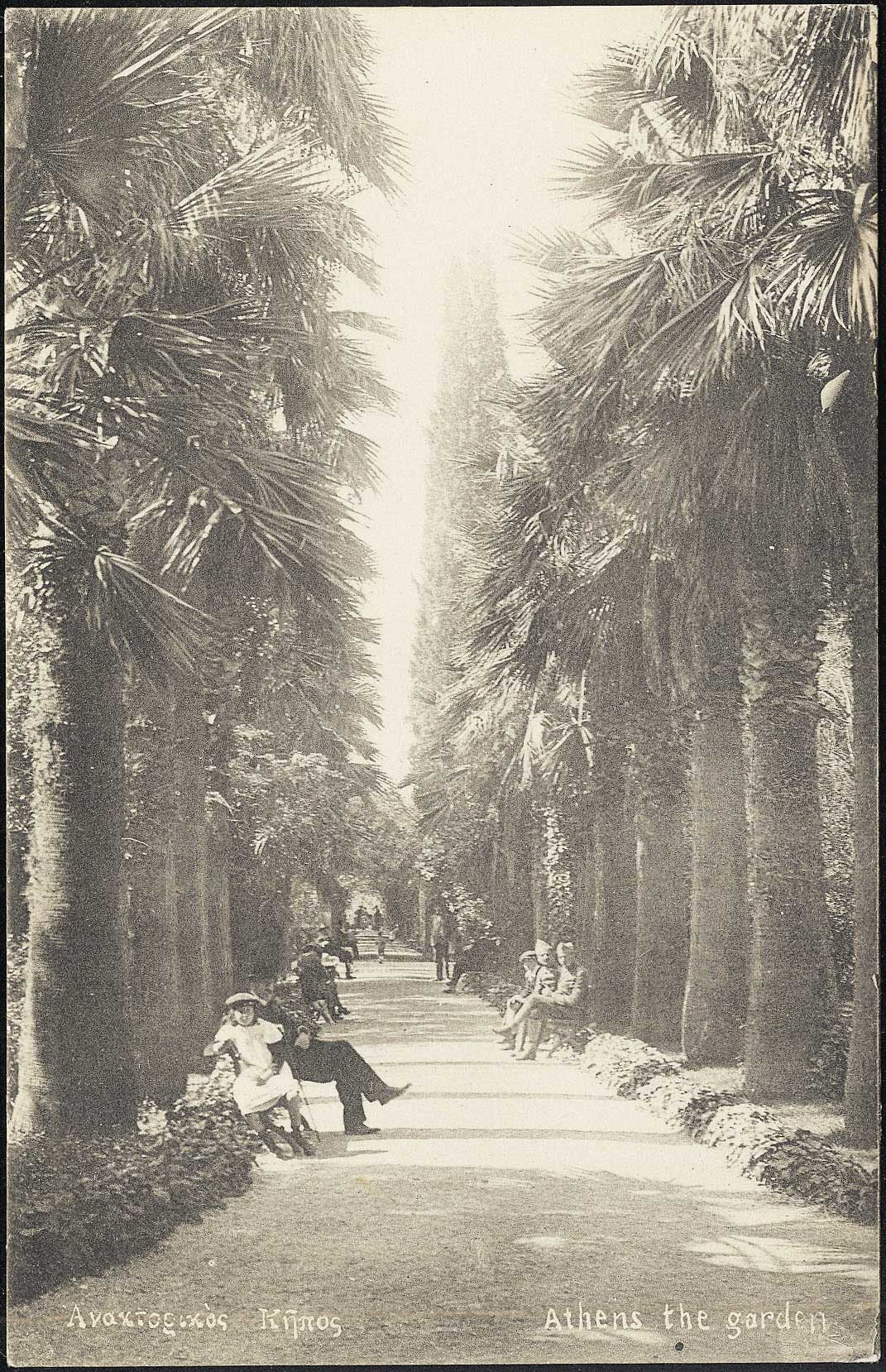 Lot 01515