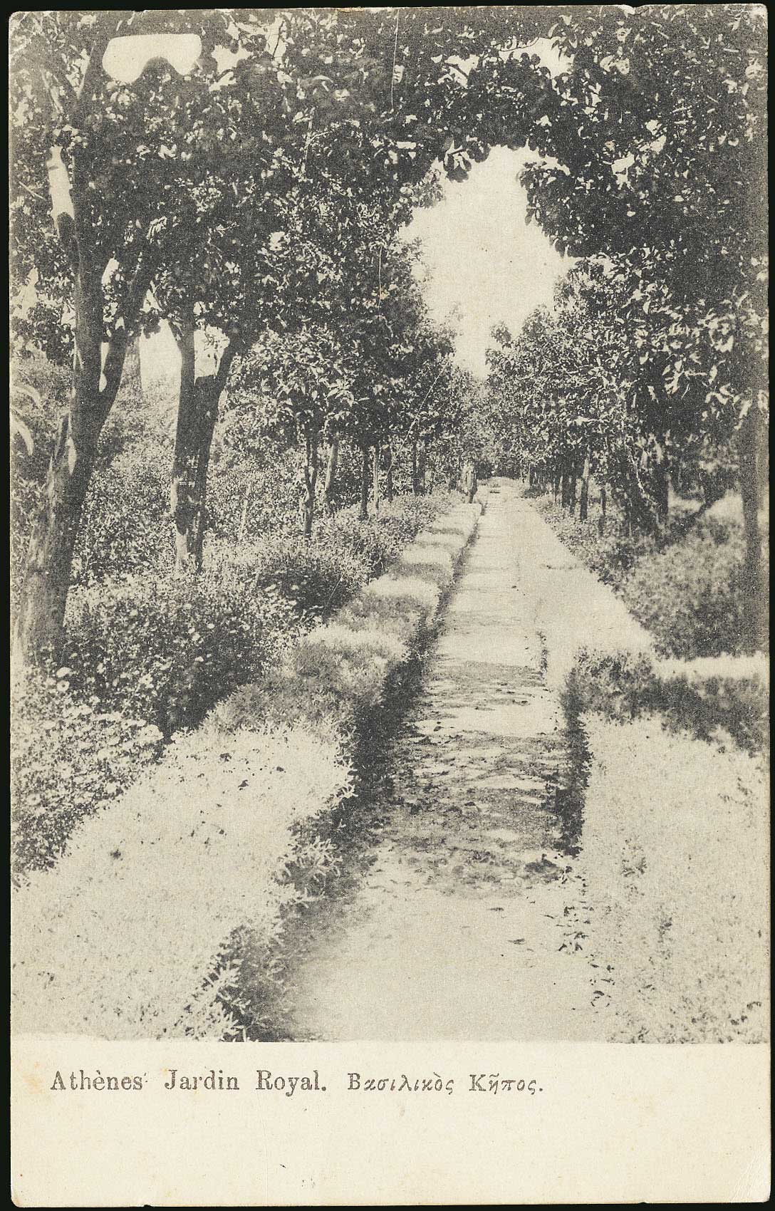 Lot 01516