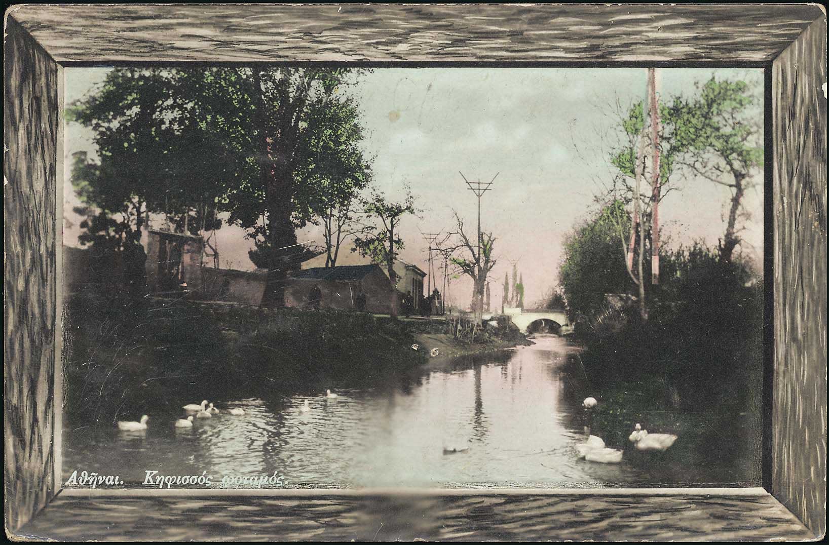 Lot 01492