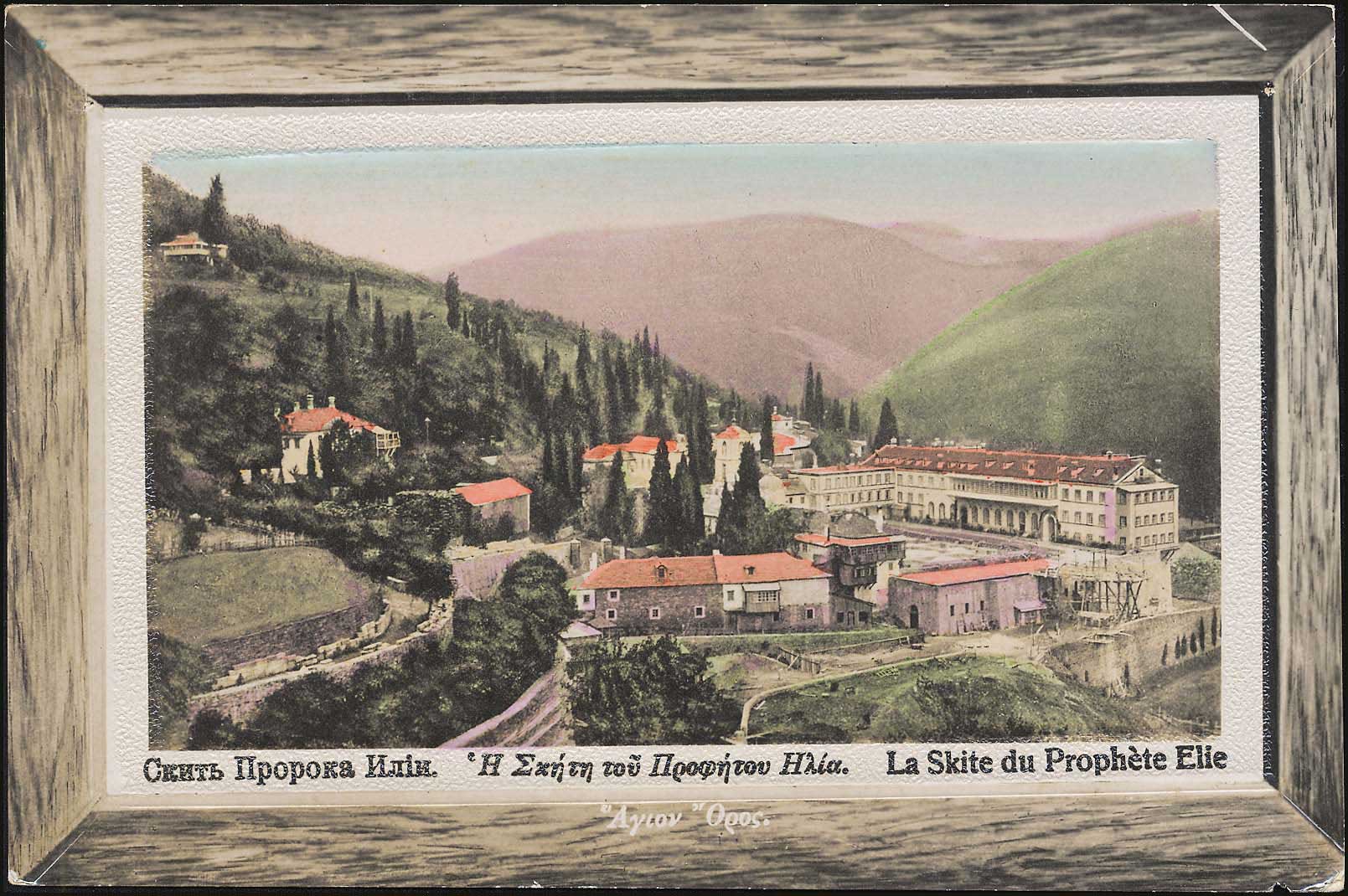 Lot 01729