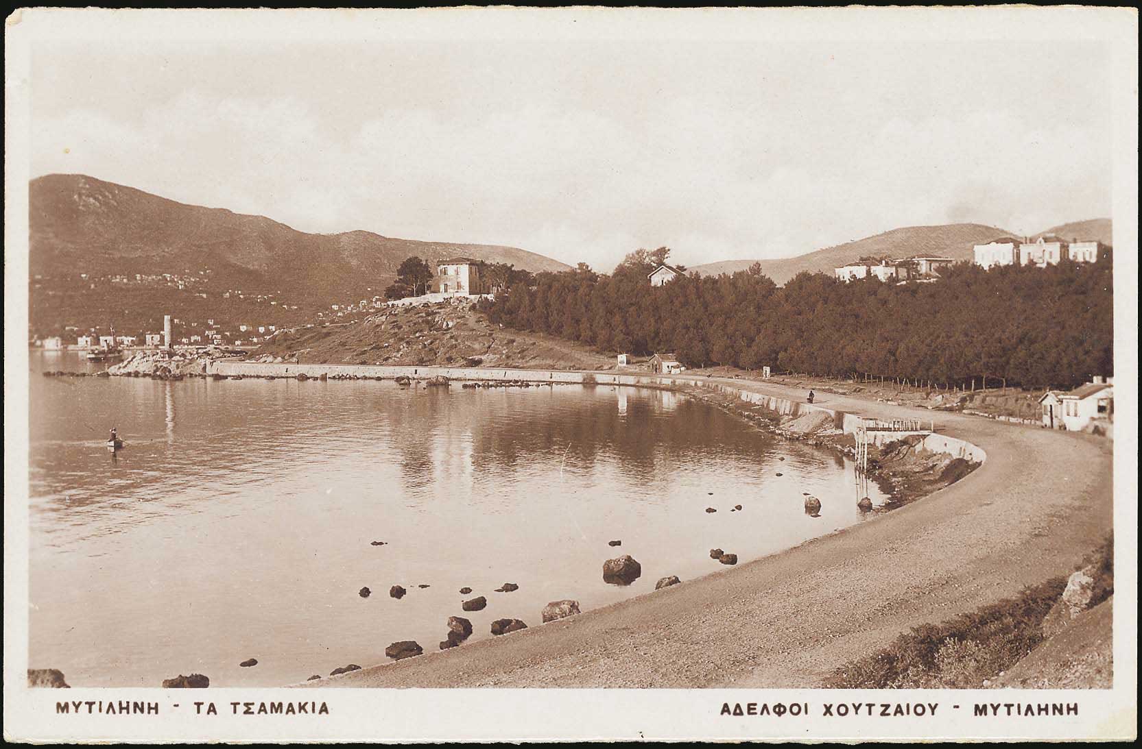 Lot 01304