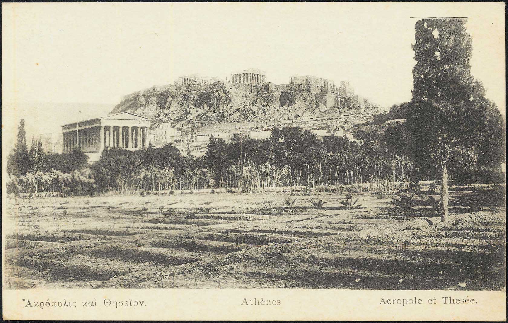 Lot 01509
