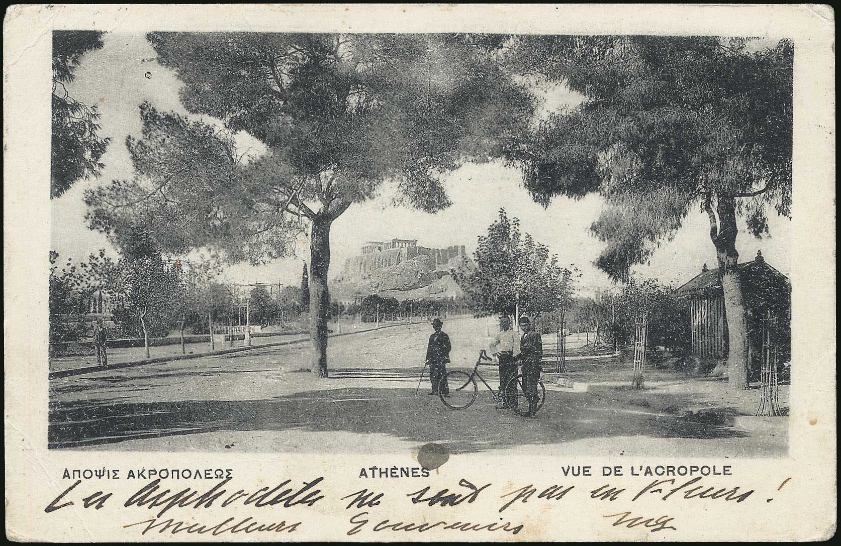 Lot 01488