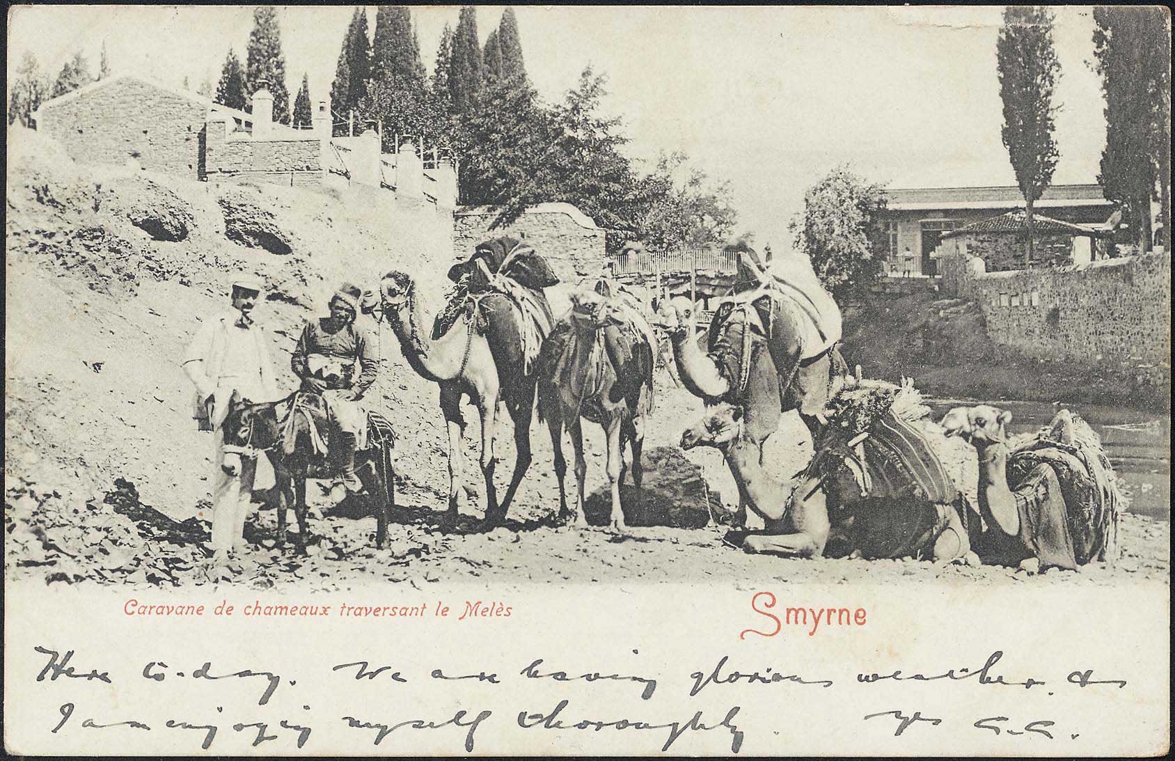 Lot 02128