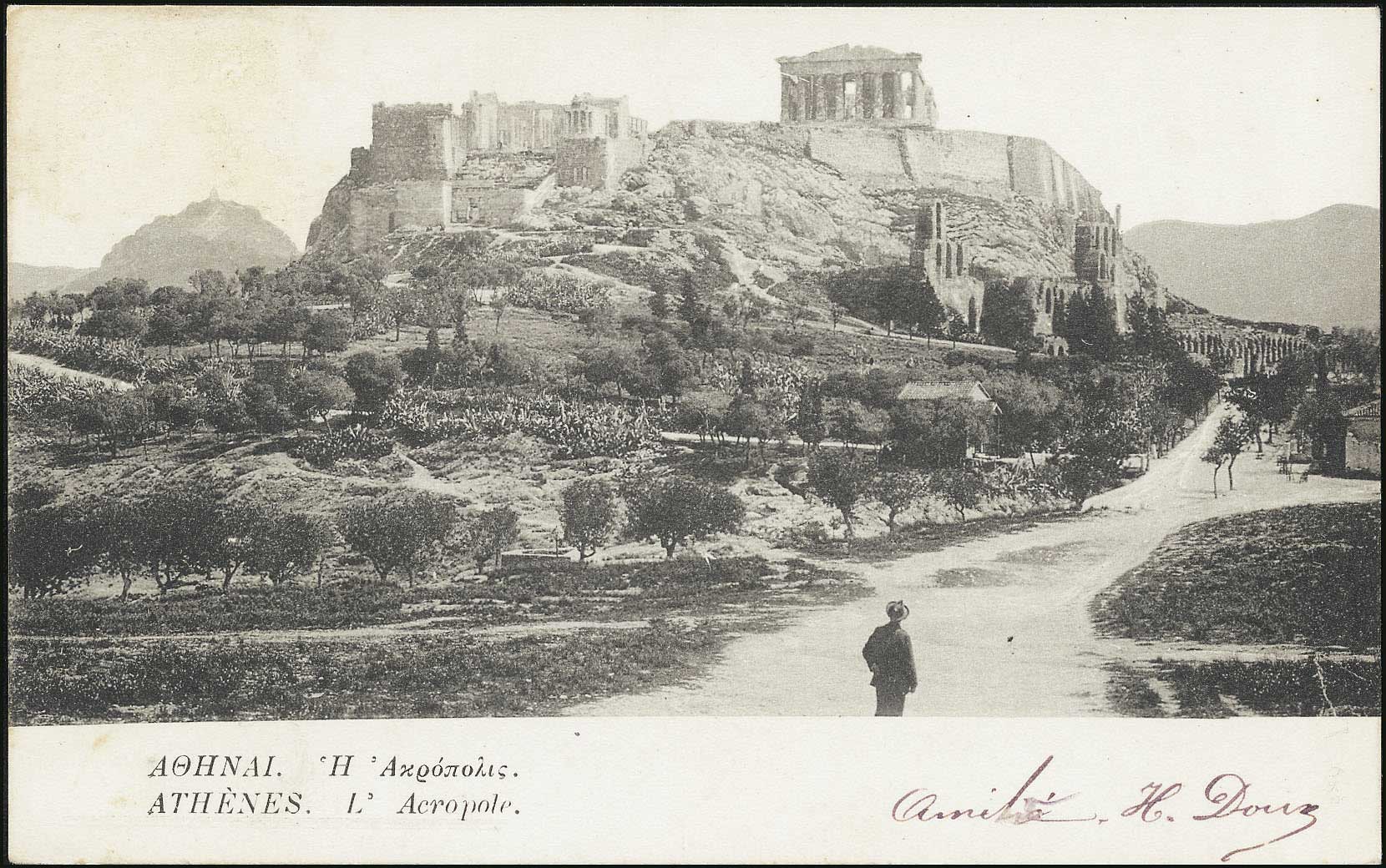 Lot 01491