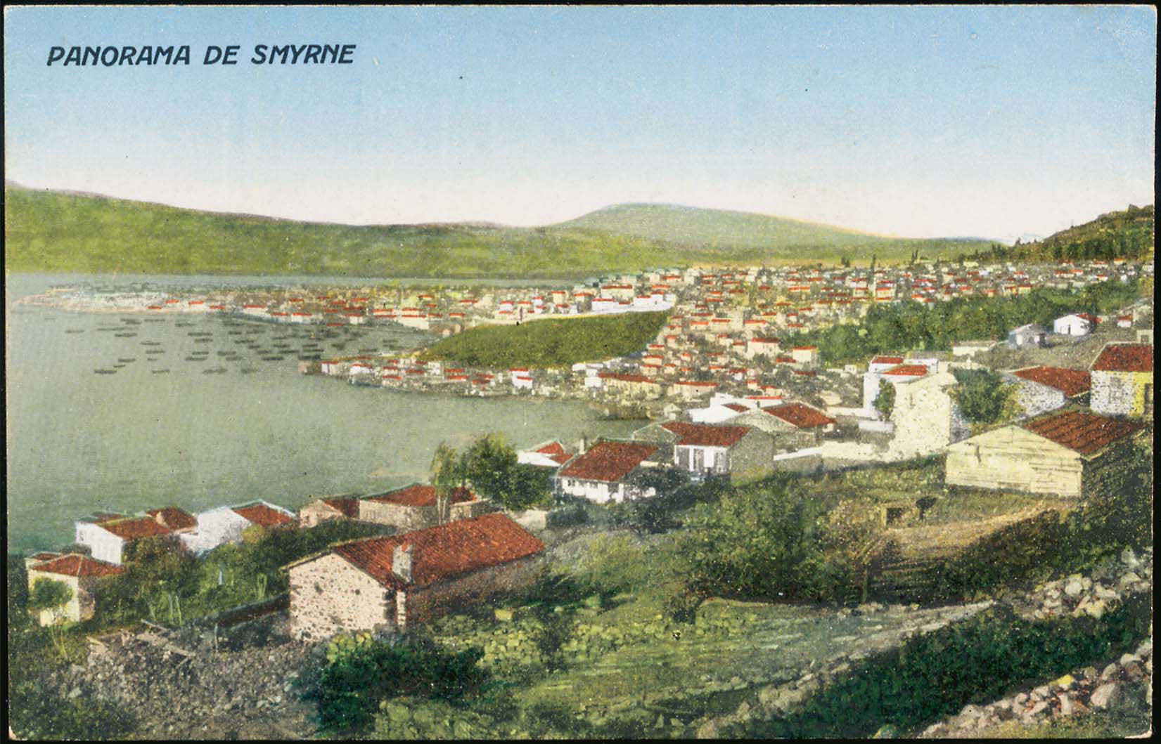 Lot 01648