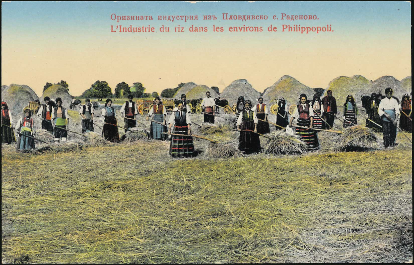 Lot 01922