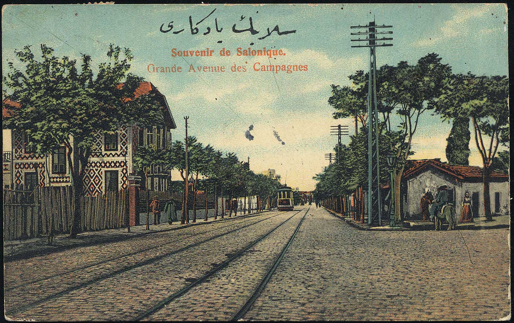 Lot 04888