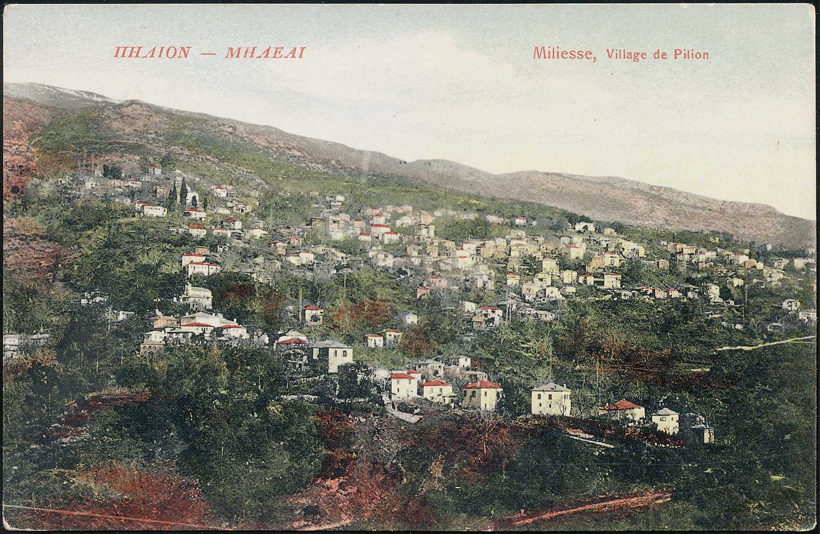 Lot 01560