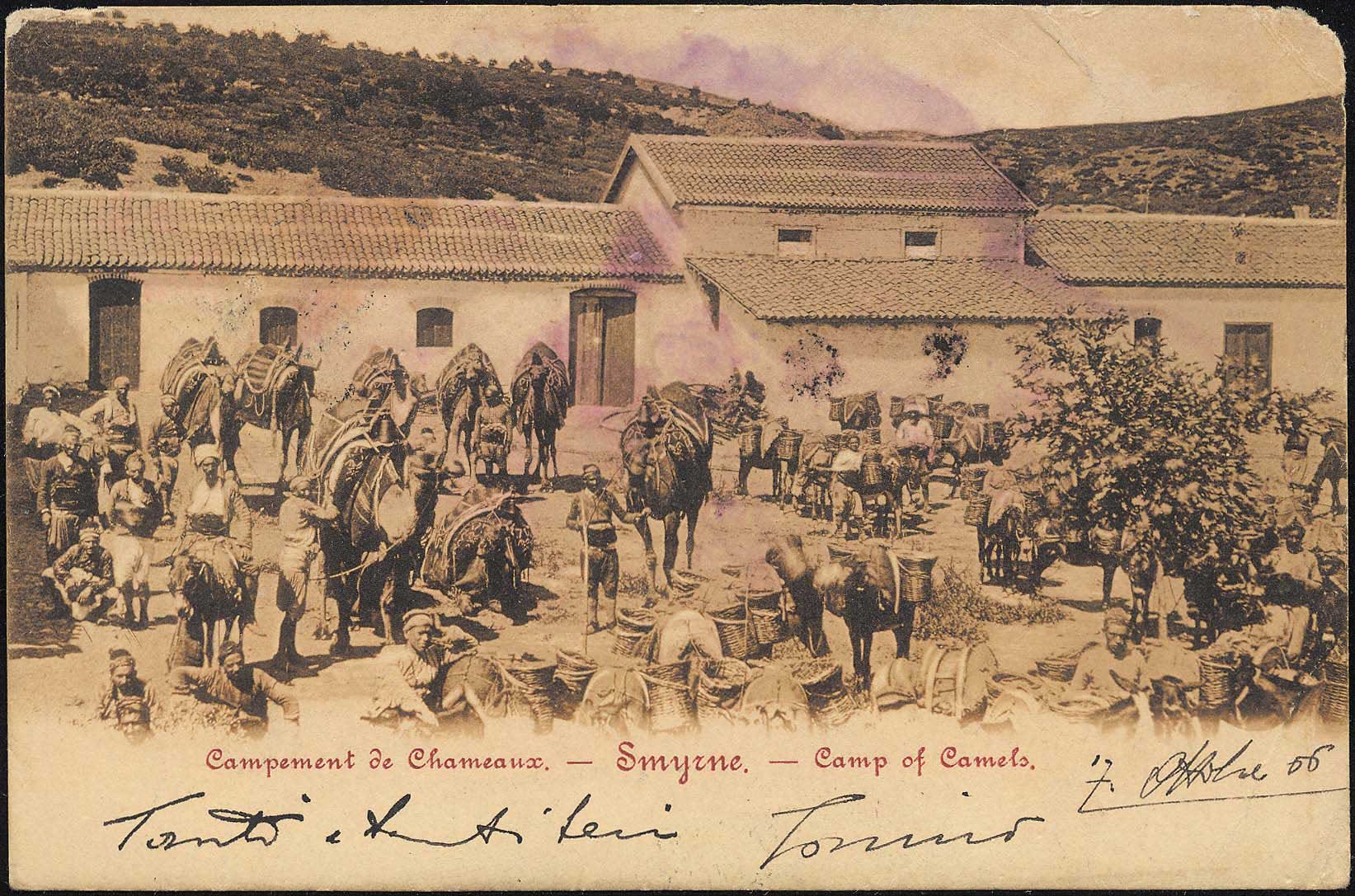 Lot 02388