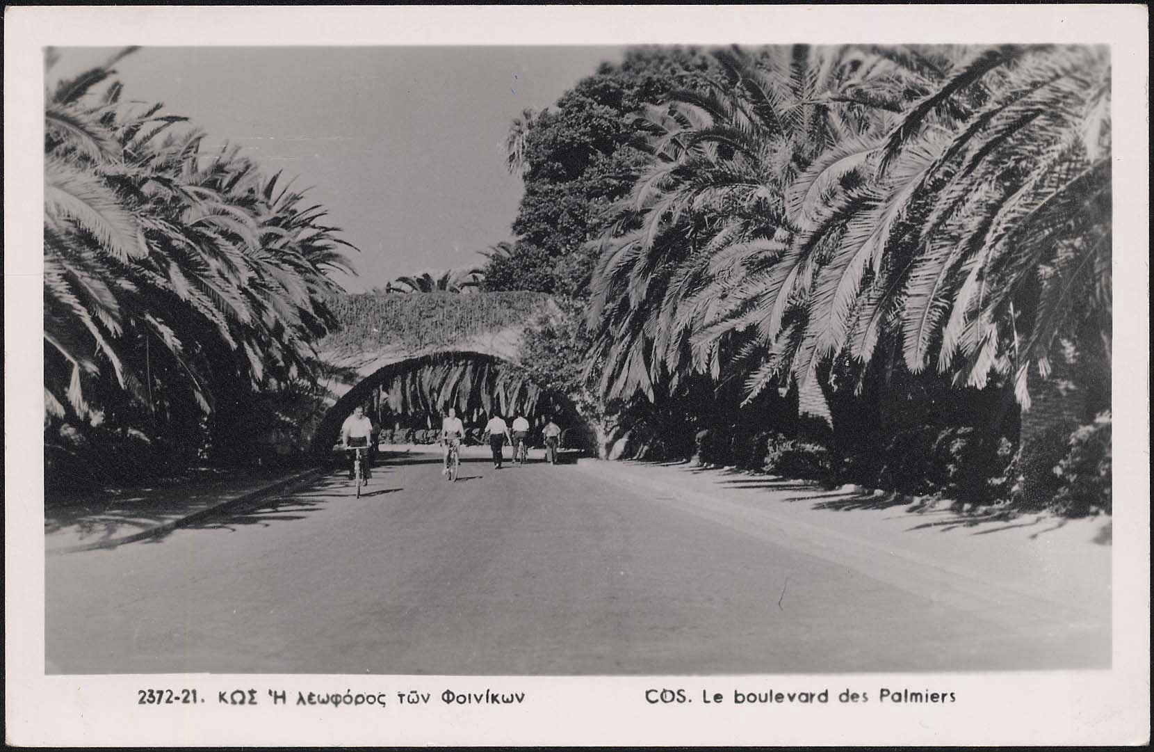 Lot 01260