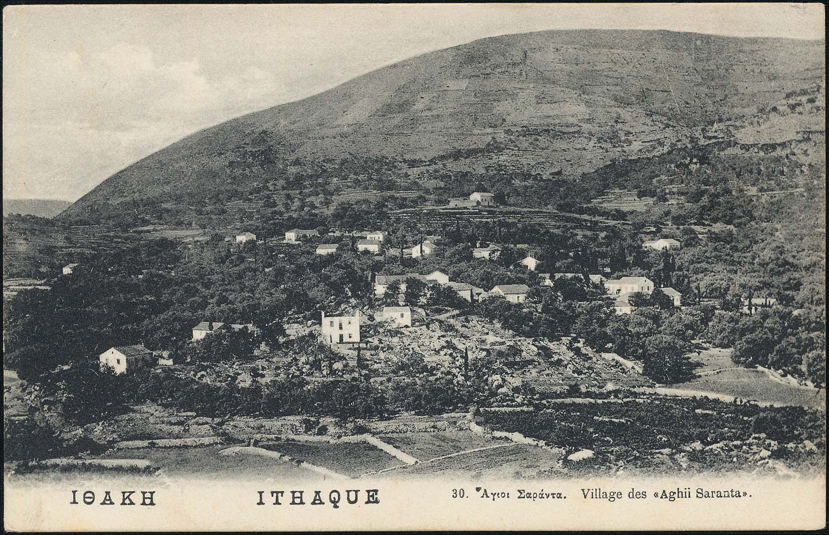 Lot 01539