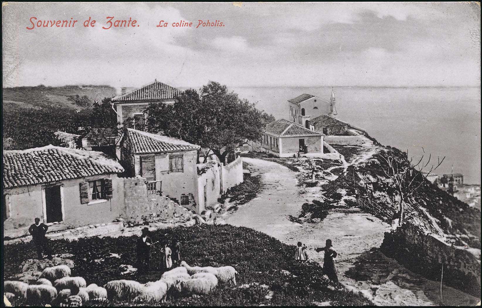 Lot 01573