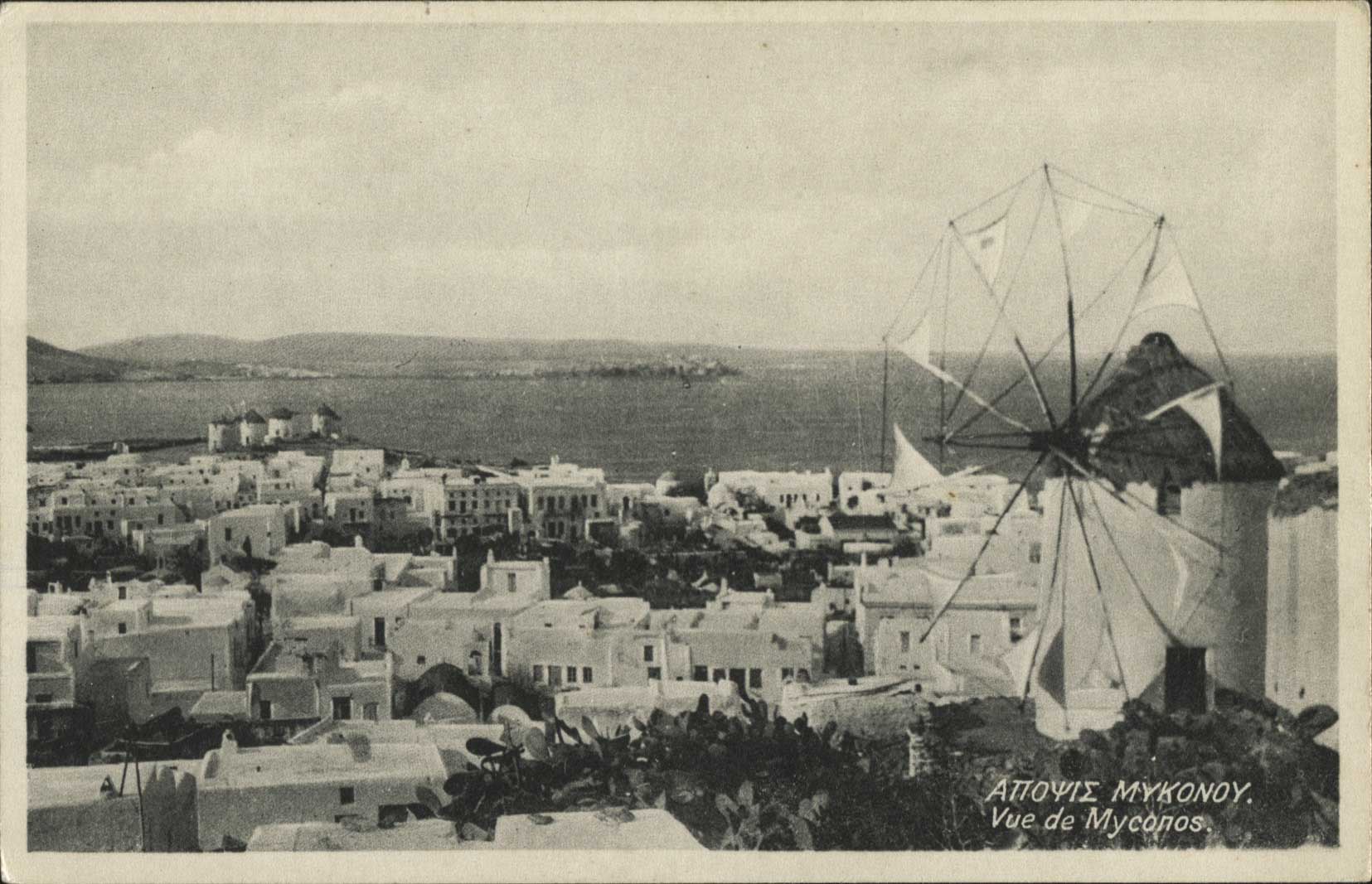 Lot 01365