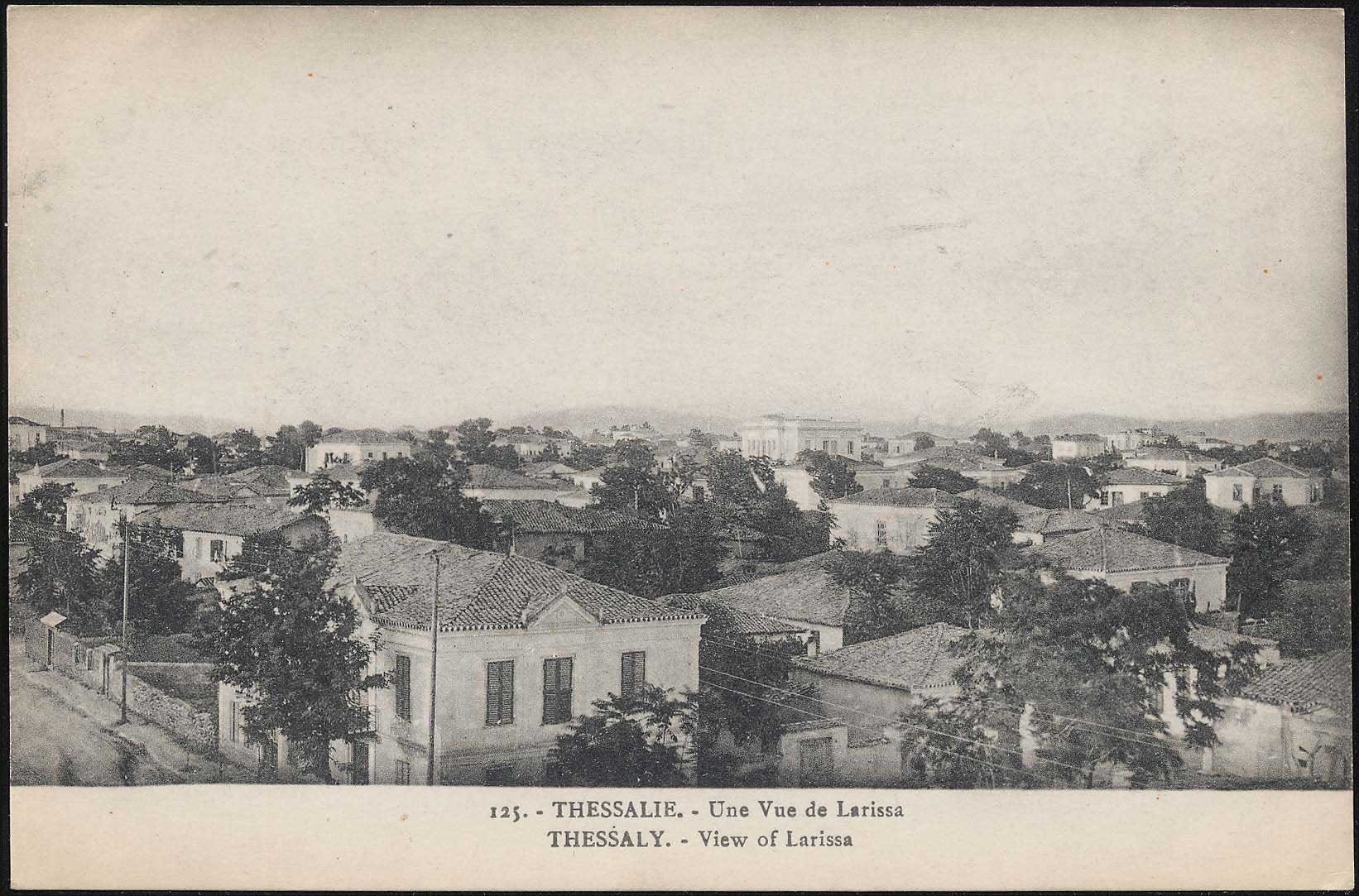 Lot 01695