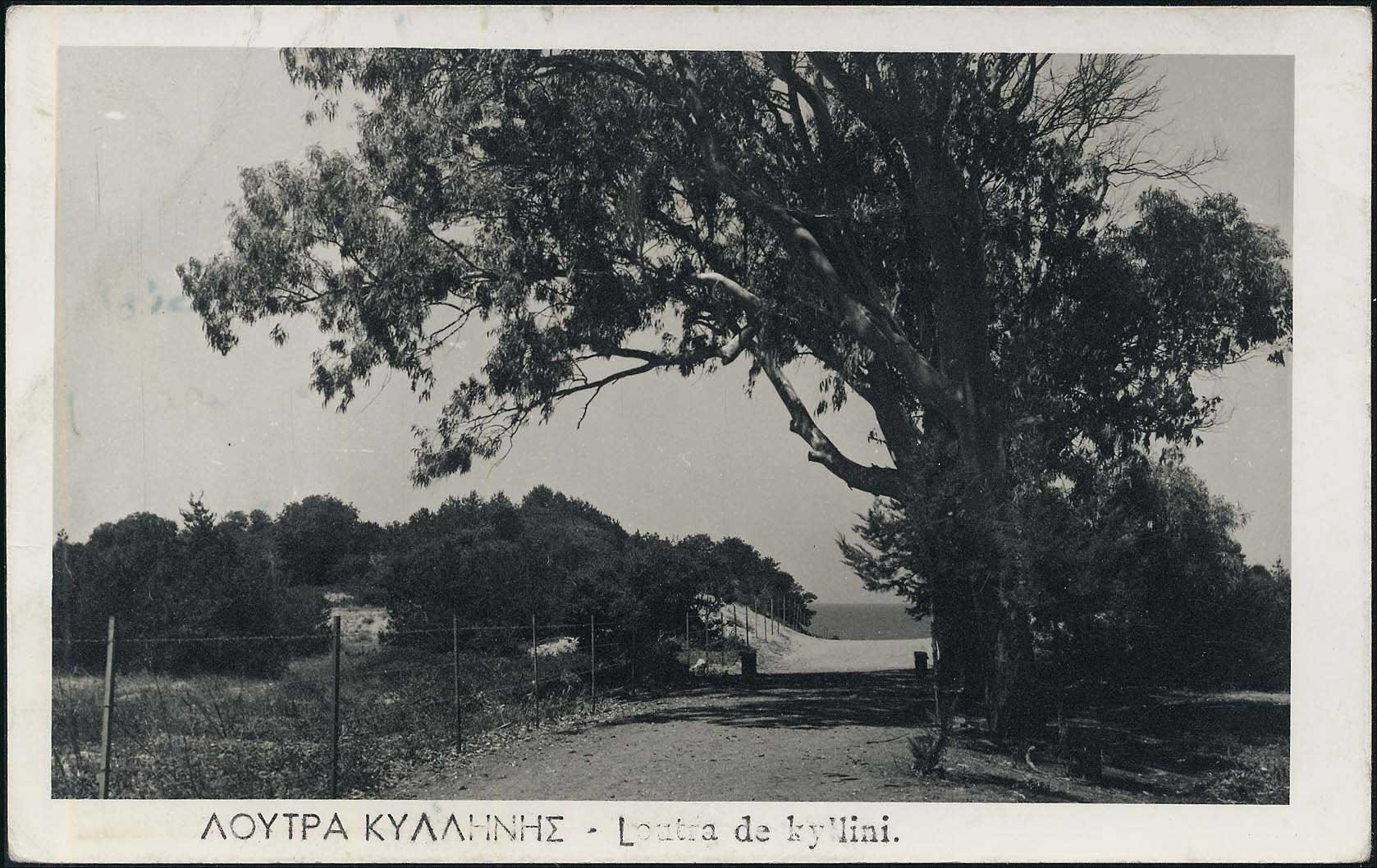 Lot 01405