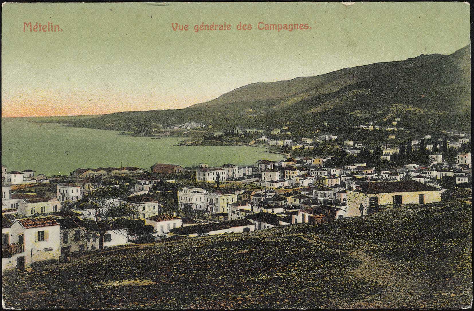 Lot 01413