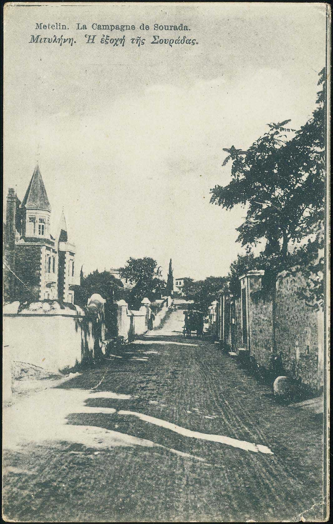 Lot 01384